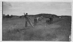 Bilde av 